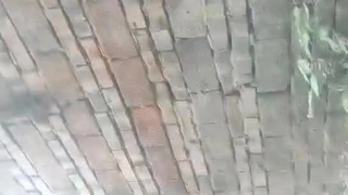 单亲爸爸的我遇上了桃花期[中文字幕]